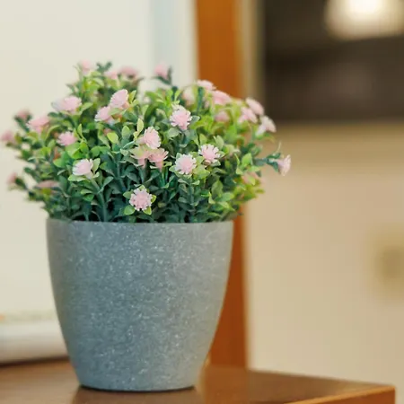 아파트 Cozy Nika 스플리트